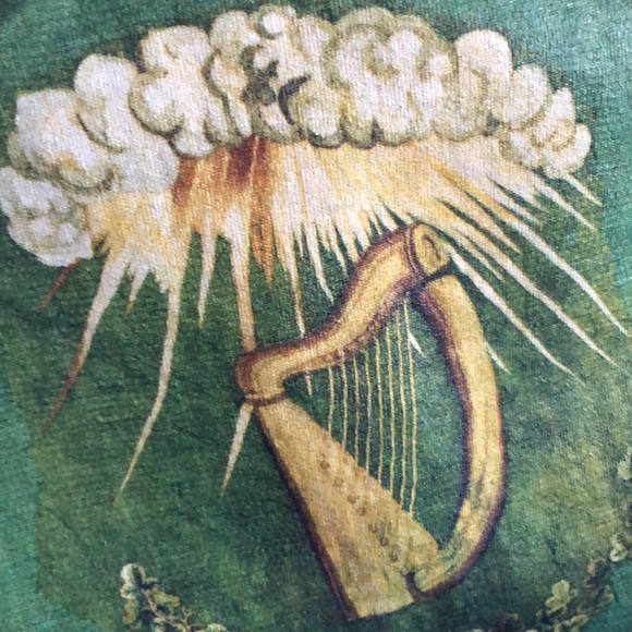 Delta Pro Weight 'Free Irish Brigade' Men's Graphic T-Shirt Sz 2XL - Picture 4 of 11